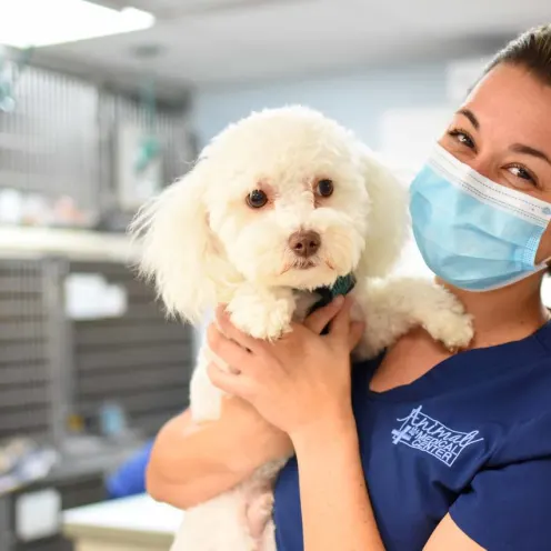 Animal Medical Center of Hattiesburg staff holdin small dog.